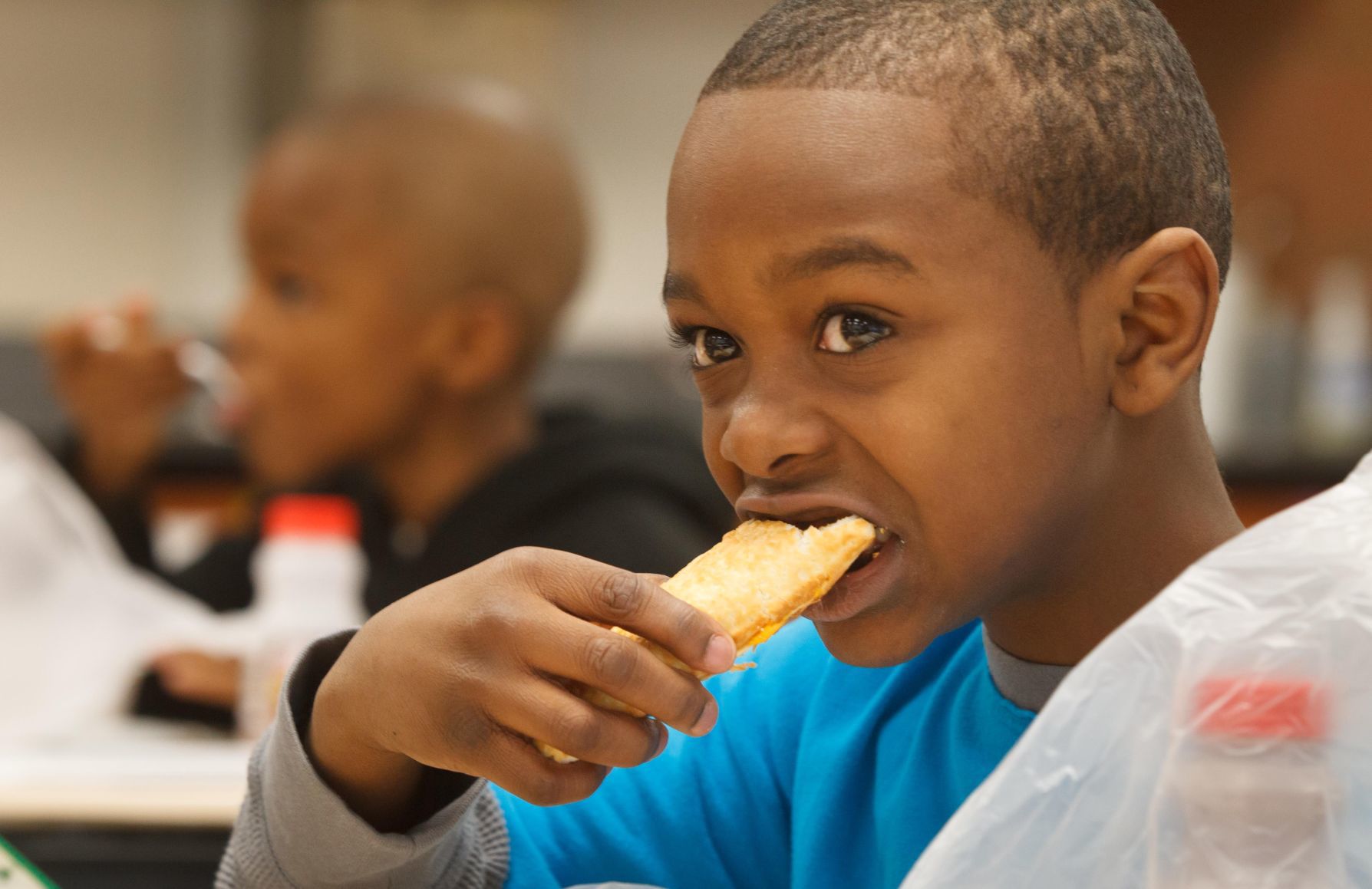 Learn about food science